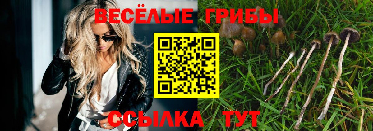 Псилоцибиновые грибы MAGIC MUSHROOMS  Вход с VPN  Галлюциногенные грибы Magic Shrooms  где можно купить   Бор 